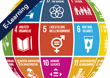 What are SDGs and How to adopt them in your strategy? E-Learning