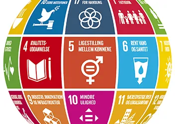 What are SDGs and How to adopt them in your strategy?